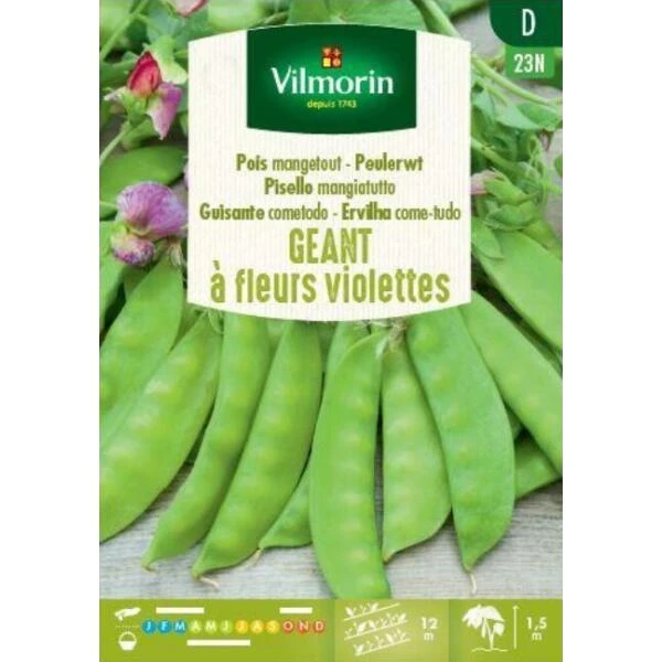 Peulerwt Geant à Fleurs Violettes 3 Peulerwt Geant à Fleurs Violettes