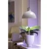 Groeilamp Led Florabooster 500 - 6,5W - Wit -Bloemenzaden Winkel 1677504262 1 600