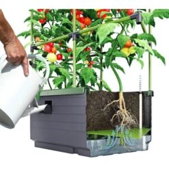 Kweekbak City Jungle Basic Met Klimframe -Bloemenzaden Winkel 1677572003 2 600