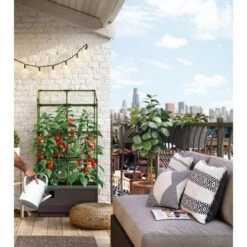 Kweekbak City Jungle Basic Met Klimframe -Bloemenzaden Winkel 1677572004 4 600