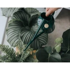 Haws Kamerplantengieter The Fazeley Flow 1 L - Groen 8 Haws Kamerplantengieter The Fazeley Flow 1 L - Groen -Bloemenzaden Winkel 1686734925 3 600