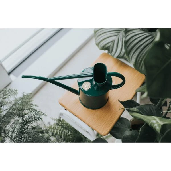 Haws Kamerplantengieter The Fazeley Flow 1 L - Groen 6 Haws Kamerplantengieter The Fazeley Flow 1 L - Groen - Afbeelding 4