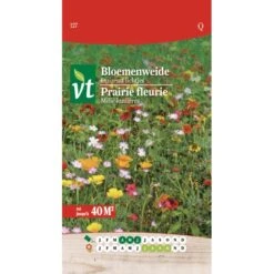 Bloemenweide Duizend Lichtjes - Tot 40 M²