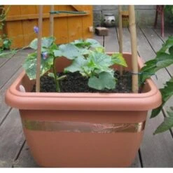 Anti-slakken Kopertape 4 M -Bloemenzaden Winkel antislakken kopertape 1484052941 3 600