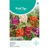 Balsamien - Impatiens Balsamina -Bloemenzaden Winkel balsamien impatiens balsamina 1646840362 1104 600