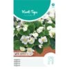 Begonia White Comet - Begonia Semperflorens -Bloemenzaden Winkel begonia white comet begonia semperflorens 1646840359 1026 600