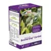 Boomerang Garden Insecticide Tegen Buxusmotrupsen - DCM 50 Ml -Bloemenzaden Winkel boomerang tegen buxusmotrupsen 50 ml 1582785163 1 600