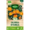 Calendula BIO - Goudsbloem 1 Calendula BIO - Goudsbloem -Bloemenzaden Winkel calendula bio 1646400356 1 600