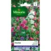 Clarkia Dubbel Gemengd - Clarkia Elegans -Bloemenzaden Winkel clarkia dubbel gemengd clarkia elegans 1646839544 228 600