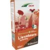 DCM Bloemenmengsel Lieveheersbeestjes - 10 M² -Bloemenzaden Winkel dcm bloemenmix lieveheersbeestjes 10 m 1675761967 1 600