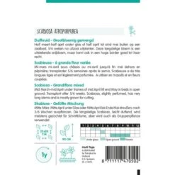 Duifkruid - Scabiosa Atropurpurea -Bloemenzaden Winkel duifkruid scabiosa atropurpurea 1646840364 1147 600