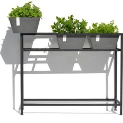 ECOPOTS Berlin Kruidentafel - Grijs 100 X 80 X 36 Cm -Bloemenzaden Winkel ecopots berlin kruidentafel grijs 1600852112 2 600