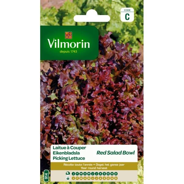 Eikenbladsla Rode Salad Bowl 3 Eikenbladsla Rode Salad Bowl