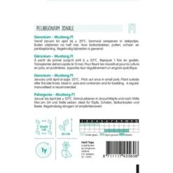 Geranium Mustang - Pelargonium Zonale 5 Geranium Mustang - Pelargonium Zonale -Bloemenzaden Winkel geranium mustang pelargonium zonale 1646840363 1115 600