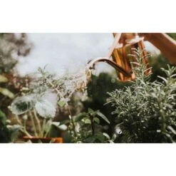 Haws Gieter 1 L - Koper -Bloemenzaden Winkel gieter haws 1 l koper 1659089480 2 600