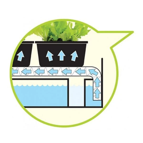 Groeilicht Met Kweekset - Wit 5 Groeilicht Met Kweekset - Wit - Afbeelding 3