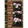 Hangende Moestuin Met 3 Vakken - 26 × 70 Cm -Bloemenzaden Winkel hangende moestuin 26 x 70 cm 1484062295 1 600