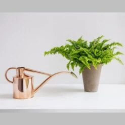 Haws Giftbox Gieter En Vernevelaar - Koper -Bloemenzaden Winkel haws giftbox koper 1485175232 0 600