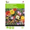 Japans Bloemengazon -Bloemenzaden Winkel japans bloemengazon 1646840333 477 600
