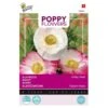 Klaproos Sherley - Papaver -Bloemenzaden Winkel klaproos sherley papaver 1646840341 655 600