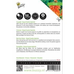 Bloemenzaden Winkel -Bloemenzaden Winkel kniphofia uvaria royal castle hybrids 1646840336 548 600