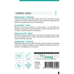 Bloemenzaden Winkel -Bloemenzaden Winkel kogelamarant gomphrena globosa 1646840362 1095 600