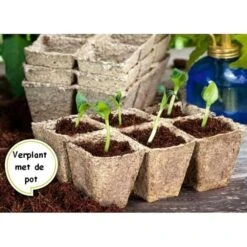 Vezelpotjes Vierkant Biologisch Afbreekbaar - 6 × 6 Cm - Set Van 24 Stuks -Bloemenzaden Winkel kokos potjes vierkant 6 cm 1519297688 1 600