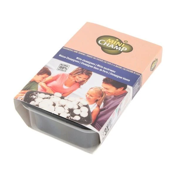 Kweekset 3 Liter Witte Champignons 4 Kweekset 3 Liter Witte Champignons - Afbeelding 2