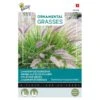 Lampenpoetsersgras - Pennisetum Alopecuroides -Bloemenzaden Winkel lampenpoetsersgras pennisetum alopecuroides 1646840391 1654 600