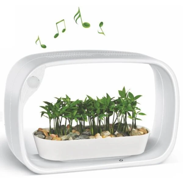 Mini Tuin Jardin Secret Met Ledverlichting En Bluetooth - Rechthoek 3 Mini Tuin Jardin Secret Met Ledverlichting En Bluetooth - Rechthoek