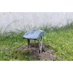 Mollenklem - Innovatief En Robuust -Bloemenzaden Winkel mollenklem mollenijzer 1484062617 4 600