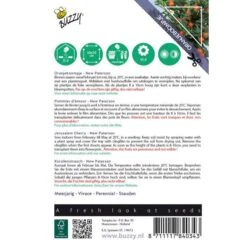 Oranjeboompje - Solanum Pseudocapsicum -Bloemenzaden Winkel oranjeboompje solanum pseudocapsicum 1646840377 1425 600