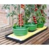 Plant- En Gietpot Groen - Set Van 3 Stuks -Bloemenzaden Winkel plant en gietpot 1484054799 1 600