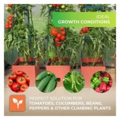 Plantentoren Maxitom Met Waterreservoir - Terracotta -Bloemenzaden Winkel plantentoren maxitom terracotta 1677568602 1 600