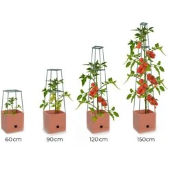 Plantentoren Maxitom Met Waterreservoir - Terracotta -Bloemenzaden Winkel plantentoren maxitom terracotta 1680165024 1 600