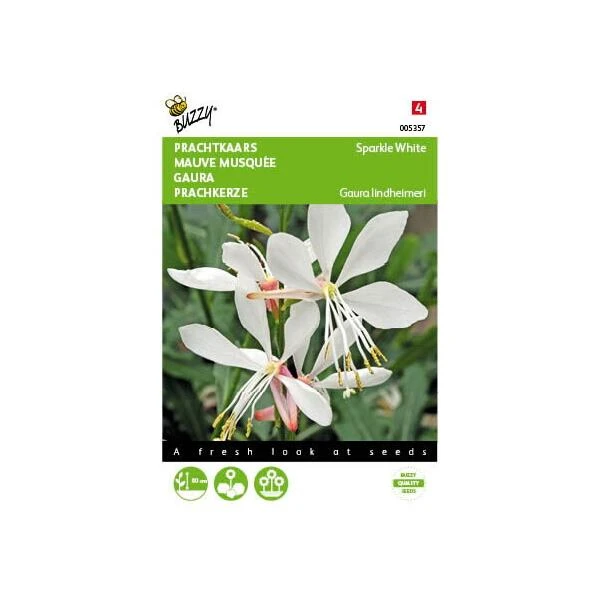 Prachtkaars - Gaura Sparkle White 3 Prachtkaars - Gaura Sparkle White