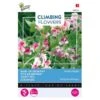 Reukerwt Unwins Striped - Lathyrus (Climbers) -Bloemenzaden Winkel reukerwt unwins striped lathyrus climbers 1646840341 649 600