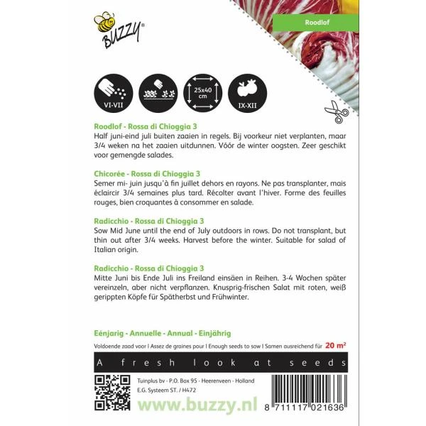 Roodlof Palla Rossa Cichorium Endivia 4 Roodlof Palla Rossa Cichorium Endivia - Afbeelding 2