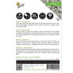 Sneeuwtapijt - Alyssum Marit. Procumbens -Bloemenzaden Winkel sneeuwtapijt alyssum marit procumbens 1646840324 290 600