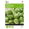 Spruitkool Topline F1 Hybride - Brassica Oleracea -Bloemenzaden Winkel spruitkool topline f1 hybride brassica oleracea 1646840316 115 600