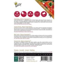 Tomaten Pomodori Bistecca F1 - Lycopersicon Esculentum -Bloemenzaden Winkel tomaten pomodori bistecca f1 lycopersicon esculentum 1646840320 208 600