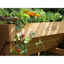 Vegtrug Verhoogde Kweektafel - 1 × 0,8 × 0,8 M -Bloemenzaden Winkel vegtrug 1 m 1484054491 4 600