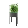 Verhoogd Kweekbak City Jungle Heidelberg Met Klimframe -Bloemenzaden Winkel verhoogd plantenbed city jungle heidelberg 1677506551 1 600