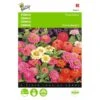 Zinnia Thumbelina Mix - Zinnia Elegans -Bloemenzaden Winkel zinnia thumbelina mix zinnia elegans 1646840333 471 600