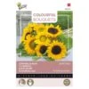 Zonnebloemen Sunlit Days -Bloemenzaden Winkel zonnebloemen sunlit days 1646840390 1642 600