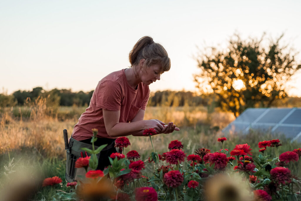 Bloemenzaden Winkel -Bloemenzaden Winkel Eline Houtkamp Bloem en Oogst fotograaf Marleen Tammeleng 1 1024x682 1